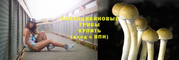 спайс Горняк