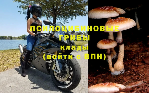 а пвп мука Горно-Алтайск